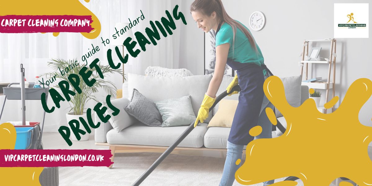 cost of professional carpet cleaning