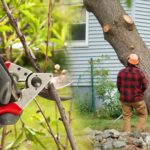 Do I need permission for tree removal in Blackpool?