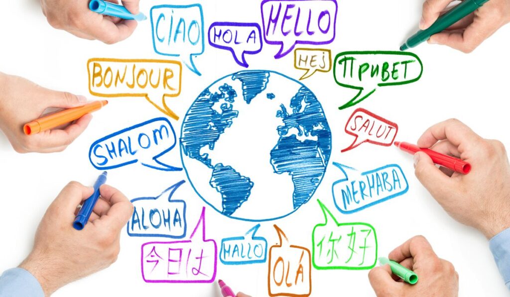 due diligence traduzione