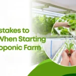 Top Hydroponic Farming Mistakes to Avoid in UAE | Beginner Guide - Skyfield agritech