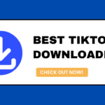 tiktok video downloader