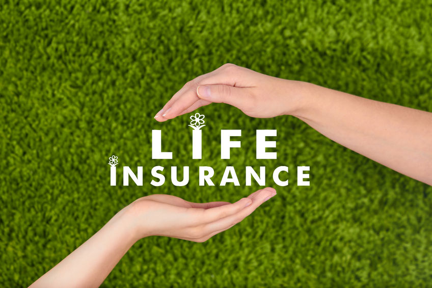 Life Insurance