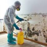 Hazmat Clean Up Companies