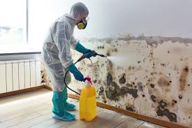 Hazmat Clean Up Companies