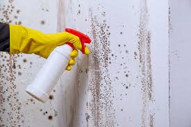 mould removal sydney