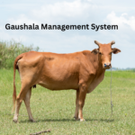 gaushala management system