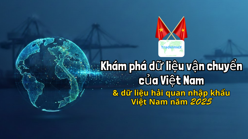 Khám phá dữ liệu vận chuyển của Việt Nam & dữ liệu hải quan nhập khẩu Việt Nam năm 2025