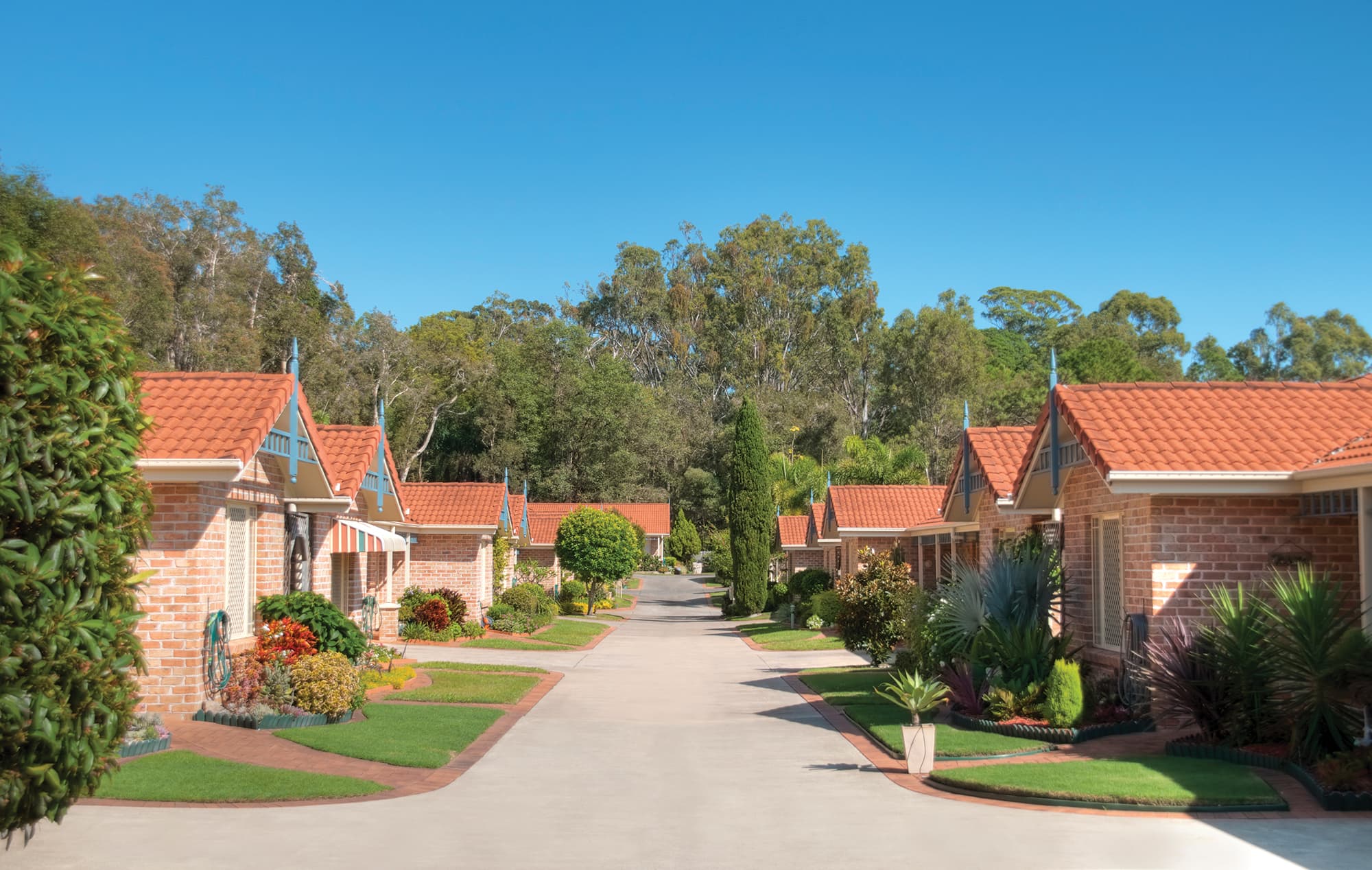 Lifestyle and Amenities