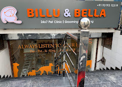Pet Clinics in Dwarka Delhi