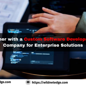 Partner with a Custom Software Development Company for Enterprise Solutions